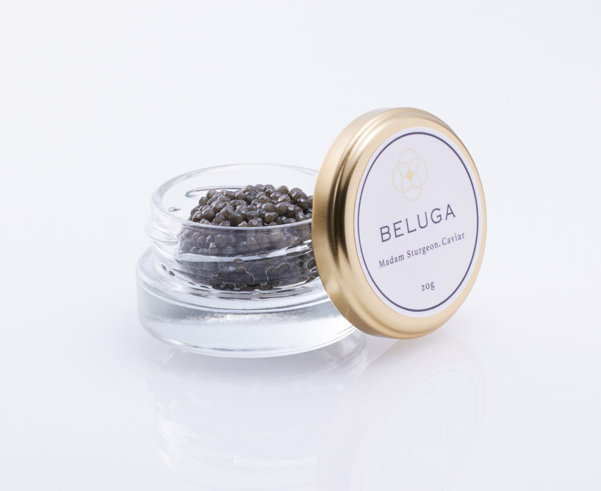 ベルーガ – Madam Sturgeon. Caviar ベルーガ – Madam Sturgeon. Caviar