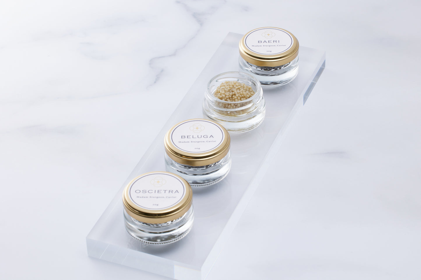 ベルーガアルマス