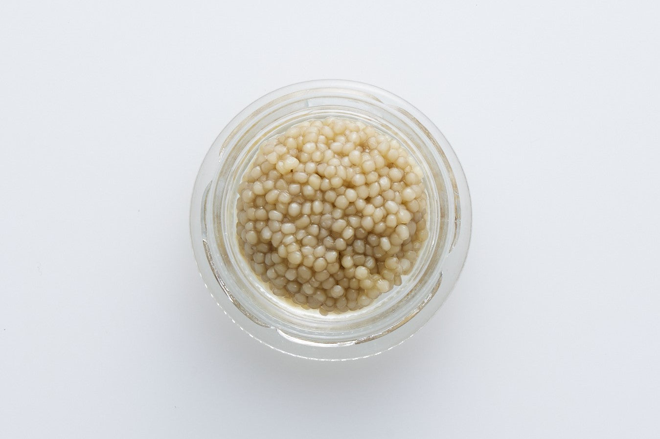 ベルーガアルマス